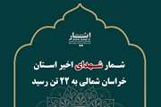 شمار شهدای اخیر استان خراسان شمالی به ۲۲ تن رسید